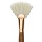 Princeton Best Natural Bristle Brush - Fan, Long Handle, Size 12
